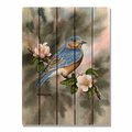 Ricki&Aposs Rugs 28 x 36 in. Bartholets Bluebird Inside & Outside Cedar Wall Art RI890034